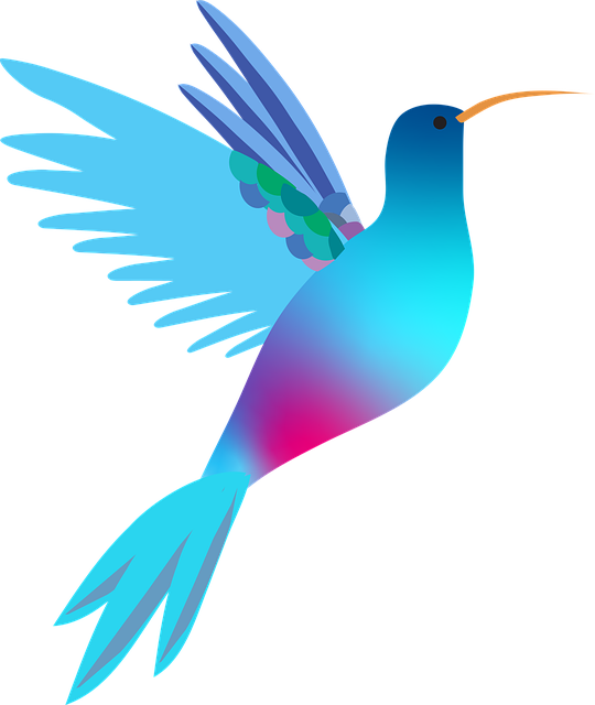 Free download Hummingbird Bird Wedding Mothers - Free vector graphic on Pixabay free illustration to be edited with GIMP online image editor