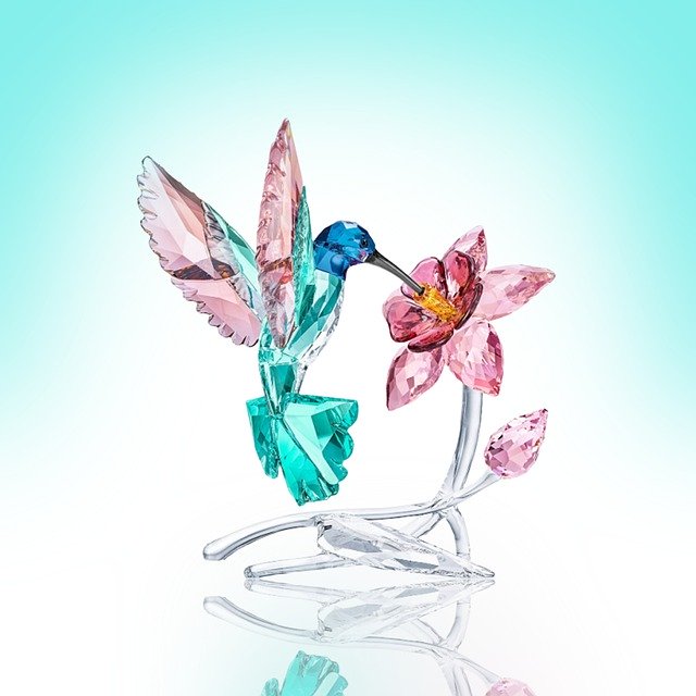 Free download Hummingbird Flower -  free illustration to be edited with GIMP free online image editor