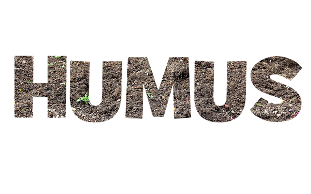 Free download Humus Font Lettering -  free illustration to be edited with GIMP free online image editor