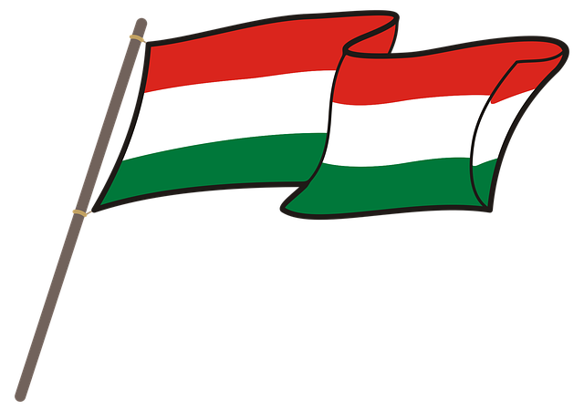 Free download Hungary Flag Graphics National - Free vector graphic on Pixabay free illustration to be edited with GIMP free online image editor
