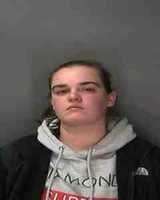 Free download hunt free photo or picture to be edited with GIMP online image editor