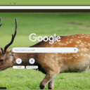 Huou Sao  screen for extension Chrome web store in OffiDocs Chromium