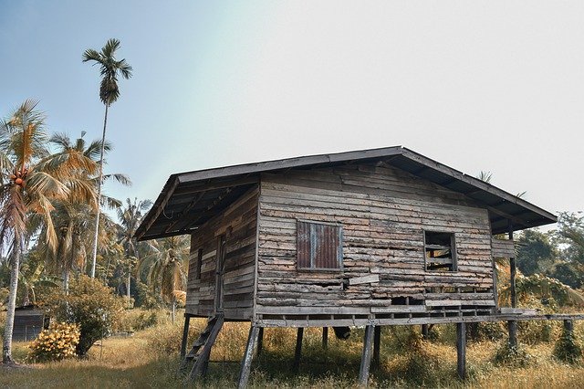ดาวน์โหลดฟรี Hut Wood Jungle - รูปถ่ายหรือรูปภาพฟรีที่จะแก้ไขด้วยโปรแกรมแก้ไขรูปภาพออนไลน์ GIMP