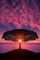 Free download hyan2 free photo or picture to be edited with GIMP online image editor