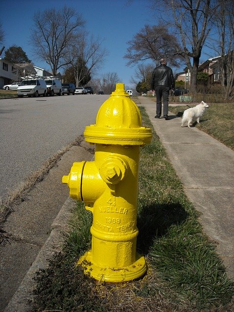 Free download hydrant street dog walk fire free picture to be edited with GIMP free online image editor