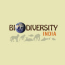 IBP Observation Browser  screen for extension Chrome web store in OffiDocs Chromium