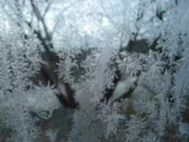 Free download Ice Crystals Form free photo or picture to be edited with GIMP online image editor