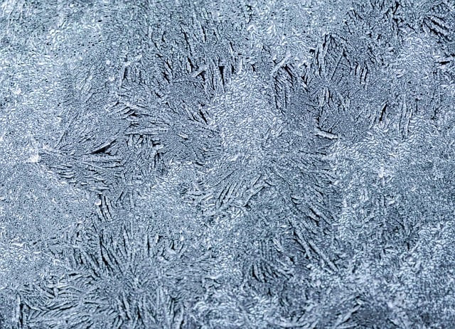 Download gratuito di cristalli di ghiaccio gelo congelato macro immagine gratuita da modificare con l'editor di immagini online gratuito di GIMP