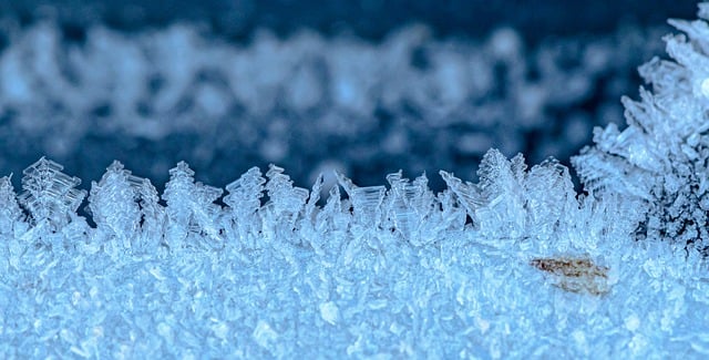 دانلود رایگان کریستال های یخ ساختارهای یخ زده عکس سرد رایگان برای ویرایش با ویرایشگر تصویر آنلاین رایگان GIMP