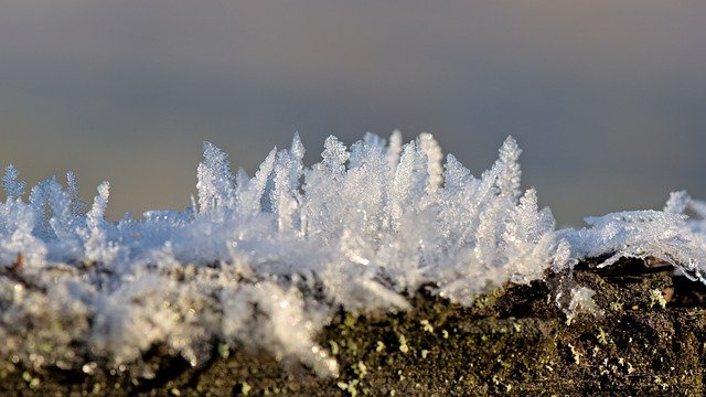 Бесплатно скачать ледяные кристаллы ледяные цветы мороз бесплатное изображение для редактирования в GIMP бесплатный онлайн-редактор изображений