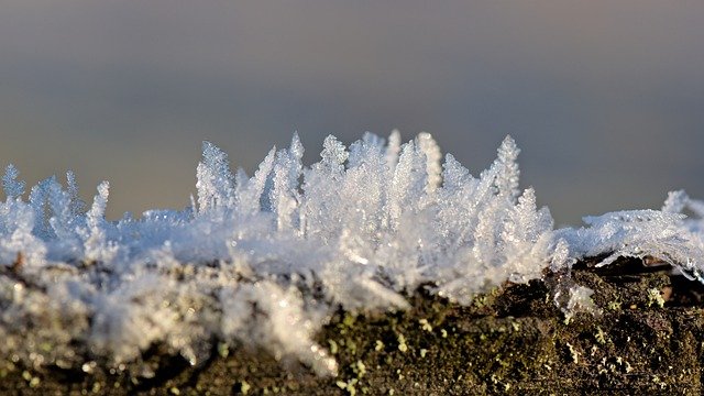 Free download ice crystals ice flowers frost free picture to be edited with GIMP free online image editor