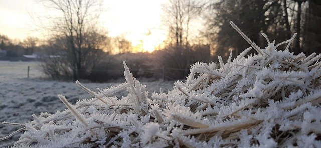 Free graphic ice crystals winter frost nature to be edited by GIMP free image editor by OffiDocs