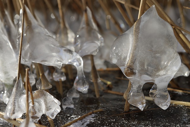 Free download ice frost icicles frozen winter free picture to be edited with GIMP free online image editor