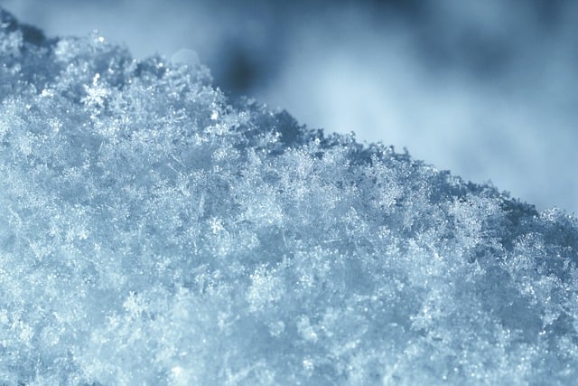 Free download ice frost snowflakes snow free picture to be edited with GIMP free online image editor