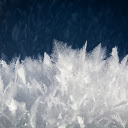 Ice leaf tree  screen for extension Chrome web store in OffiDocs Chromium