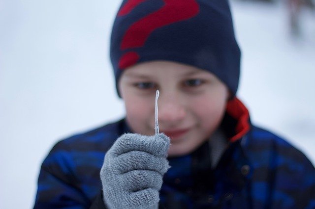 Téléchargement gratuit de Ice Winter Detail - photo ou image gratuite à modifier avec l'éditeur d'images en ligne GIMP