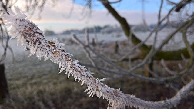 Free download Ice Winter Morning free photo template to be edited with GIMP online image editor