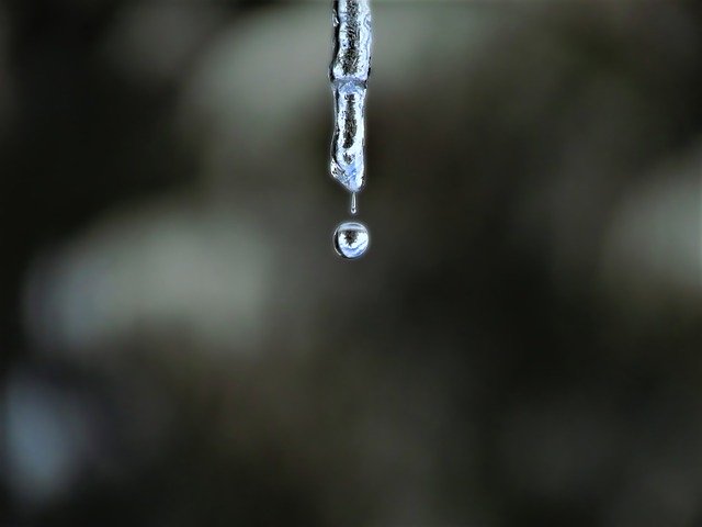 Free download Icicle Dripping -  free photo or picture to be edited with GIMP online image editor