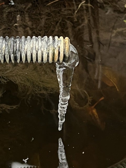 Free download icicle frost winter nature water free picture to be edited with GIMP free online image editor