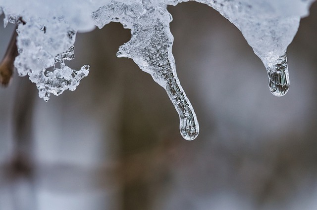 Free download icicle winter frost cold frozen free picture to be edited with GIMP free online image editor