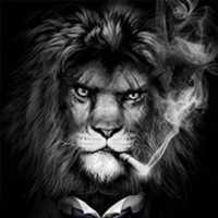 Free download Icon Kodi King free photo or picture to be edited with GIMP online image editor