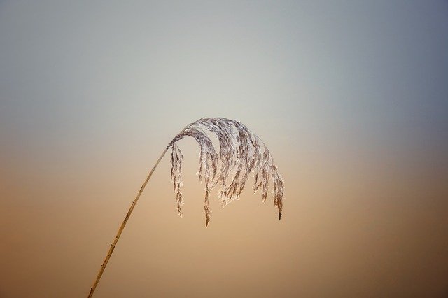 تنزيل مجاني Icy Cold Winter - صورة مجانية أو صورة ليتم تحريرها باستخدام محرر الصور عبر الإنترنت GIMP