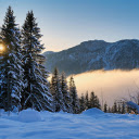 icy mountain forests  screen for extension Chrome web store in OffiDocs Chromium