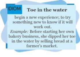 Free download IDIOM free photo or picture to be edited with GIMP online image editor