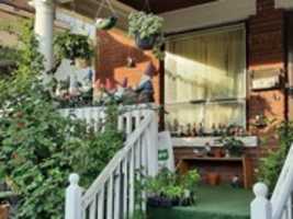 Free download Idols HWBL 01 015 free photo or picture to be edited with GIMP online image editor