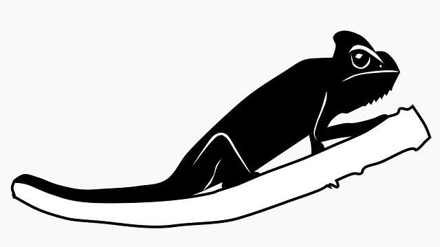Free download Iguana Vivarium - Free vector graphic on Pixabay free illustration to be edited with GIMP free online image editor