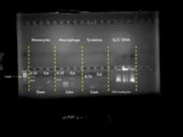 Free download IHP Guys GHroup free photo or picture to be edited with GIMP online image editor