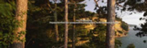 Free download IJAET Call For Papers free photo or picture to be edited with GIMP online image editor