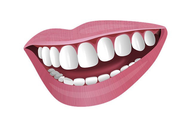 Free download Illustration Mouth Smile -  free illustration to be edited with GIMP free online image editor