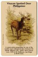 Free download Illustration of a Visayan Spotted Deer free photo or picture to be edited with GIMP online image editor