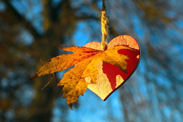 Free download i love autumn autumn leaves heart free picture to be edited with GIMP free online image editor