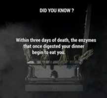 Free download image_05 free photo or picture to be edited with GIMP online image editor