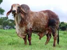 Free download image_28 free photo or picture to be edited with GIMP online image editor