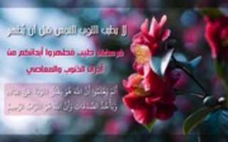 Free download image55 free photo or picture to be edited with GIMP online image editor