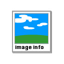Imageinfo  screen for extension Chrome web store in OffiDocs Chromium