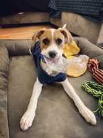 Image on 2021-03-30 at 09:53 GIMP online editor free Free download Image on 2021-03-30 at 09:53 free photo or picture to be edited with GIMP online image editor