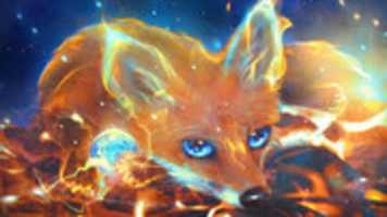 Free download images.jpeg-11 free photo or picture to be edited with GIMP online image editor