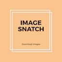 ImageSnatch  screen for extension Chrome web store in OffiDocs Chromium