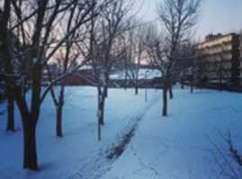 Free download IMG 0807 free photo or picture to be edited with GIMP online image editor