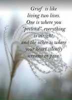 Free download IMG 0902 free photo or picture to be edited with GIMP online image editor