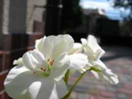 Free download IMG 0934 free photo or picture to be edited with GIMP online image editor