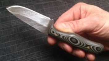 Free download IMG 1394 free photo or picture to be edited with GIMP online image editor