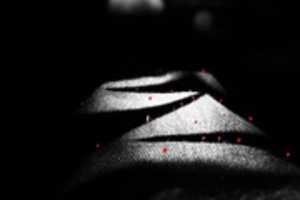 Free download IMG 1537x free photo or picture to be edited with GIMP online image editor