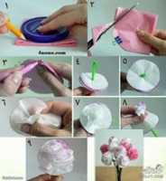 Free download IMG 20160810 00106 free photo or picture to be edited with GIMP online image editor