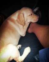 Free download IMG 20170905 085411 552 free photo or picture to be edited with GIMP online image editor