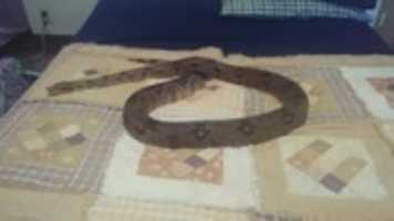 Free download IMG 20180422 134643 free photo or picture to be edited with GIMP online image editor